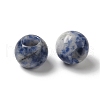 Natural Blue Spot Jasper Gemstone European Beads G-N342-03D-2