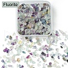 60G Natural Fluorite Chip Beads G-YW0001-64-2