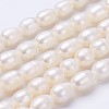 Natural Cultured Freshwater Pearl Beads Strands PEAR-P002-15-1