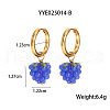 Stainless Steel Grape Hoop Earrings ZJ1069-1-2