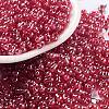 Glass Seed Beads SEED-A033-01A-03-1