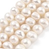 Natural Cultured Freshwater Pearl Beads Strands PEAR-C003-16E-2