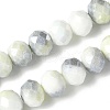Electroplate Handmade Lampwork Beads Strands LAMP-S068-11F-1