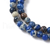 Dyed Natural Regalite/Imperial Jasper/Sea Sediment Jasper Beads Strands G-B124-C05-01-3
