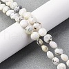 Natural White African Opal Beads Strands G-C179-A35-03-1