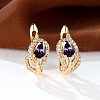 Brass Micro Pave Cubic Zirconia Hoop Earrings WG4C638-01-1