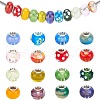 Mixed Styles Handmade Lampwork Glass European Beads LPDL-PH0001-03-WH-6