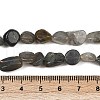 Natural Labradorite Beads Strands G-Q060-E20-02-5