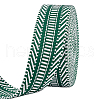   5 Yards Ethnic Style Polyester Jacquard Striped Ribbon OCOR-PH0004-17C-1