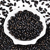 Baking Paint Glass Seed Beads SEED-N008-06J-2