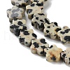 Natural Dalmatian Jasper Beads Strands G-B138-C08-01-3