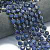 Natural Lapis Lazuli Beads Strands G-C116-A110-01-1