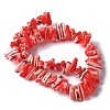 Dyed Natural Trochus Shell Beads Strands SSHEL-C013-09D-2