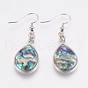 Natural Abalone Shell/Paua Shell Dangle Earrings X-EJEW-F158-A02-1