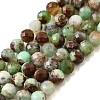 Natural Chrysoprase Beads Strands G-G259-D15-5mm-2