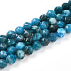 Natural Apatite Beads Strands G-N327-03A-02-01-2