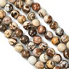 Natural Australian Agate Round Bead Strands G-M272-02-10mm-2