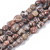 Natural Leopard Skin Jasper Beads Strands G-S363-032-1