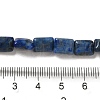 Natural Lapis Lazuli Beads Strands G-G085-A02-01-4