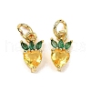 Brass Micro Pave Cubic Zirconia Charms ZIRC-H119-06G-01-1