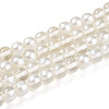 Baking Painted Transparent Glass Beads Strands DGLA-N011-8mm-01-1