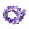 Freshwater Shell Beads Strands SHEL-N020-2-02D-2