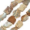 Natural Aqua Terra Jasper Beads Strands G-E444-11-A01-2