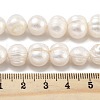 Natural Cultured Freshwater Pearl Beads Strands PEAR-C003-20C-5