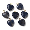 Natural Sodalite Pendants G-E603-01G-01-1