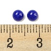 Natural White Jade Dyed Cabochons G-H309-03-28-3
