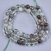 Natural Green Lodolite Quartz/Garden Quartz Beads Strands G-S333-8mm-036-2