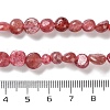 Natural Strawberry Quartz Beads Strands G-P497-01C-02-5