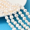 Natural Cultured Freshwater Pearl Beads Strands PEAR-P064-19K-04B-1