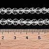 Transparent Glass Beads Strands GLAA-A014-03L-4