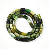 Natural Serpentine Beads Strands G-N346-01A-04-3