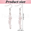 ANATTASOUL 10 Pairs 10 Style Natural & Synthetic Mixed Gemstone Chips Beaded Dangle Earrings for Women EJEW-AN0002-08-2