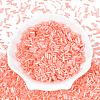 Glass Bugle Beads SEED-N007-28K-2