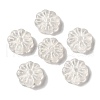 Transparent Lampwork Beads LAMP-P065-03A-02-1