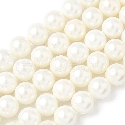 Shell Pearl Beads Strands BSHE-K015-10mm-03-1