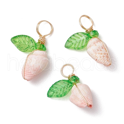 Natural Sea Shell Copper Wire Wrapped Pendants PALLOY-JF03610-01-1