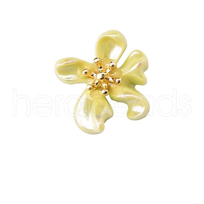 Resin Cabochons MRMJ-R104-01B-1