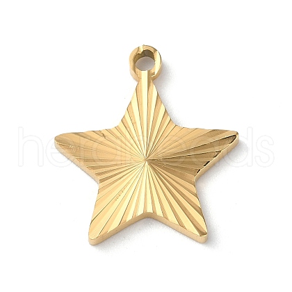 Ion Plating(IP) 304 Stainless Steel Pendants STAS-D025-04G-02-1
