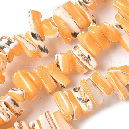 Dyed Natural Trochus Shell Beads Strands SSHEL-C013-09C-1