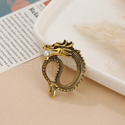 Dragon Men's Alloy Brooch for Backpack Clothes PW-WG39140-06-1