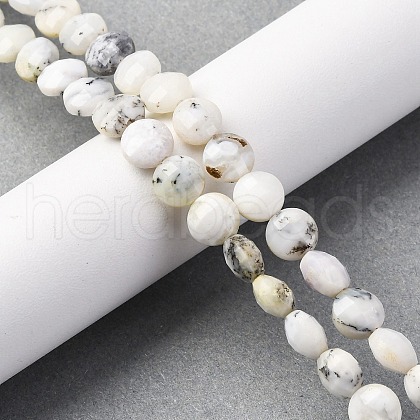 Natural White African Opal Beads Strands G-C179-A35-03-1