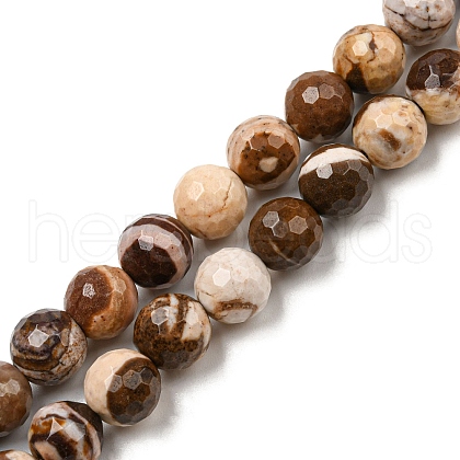 Natural Zebra Jasper Beads Strands G-C079-B01-02-1