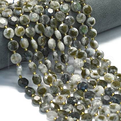 Natural Labradorite Beads Strands G-C116-A94-01-1