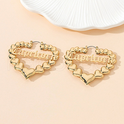 Alloy Hoop Earrings WG15DC6-05-1