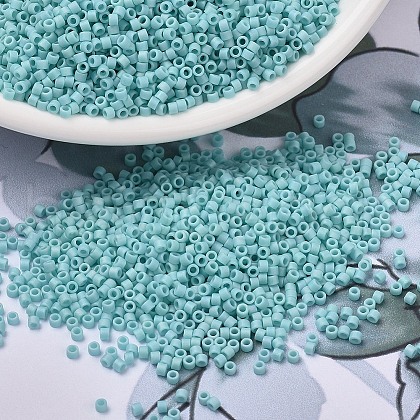 MIYUKI Delica Beads Small X-SEED-J020-DBS1595-1