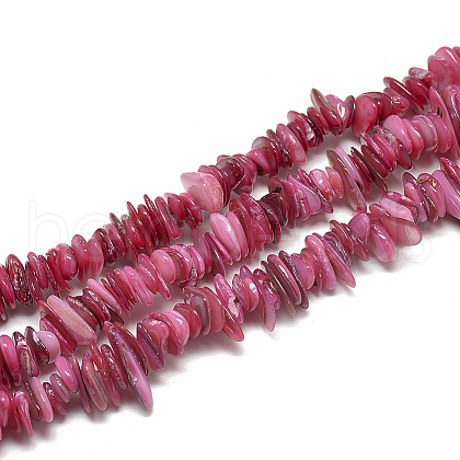 Freshwater Shell Beads Strands SHEL-S272-02-1